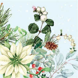 Szalvéta 25x25cm 20db/csomag White poinsettia, Fehér mikulásvirág