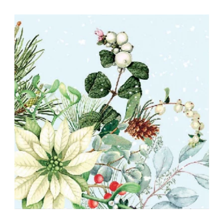 Szalvéta 25x25cm 20db/csomag White poinsettia, Fehér mikulásvirág