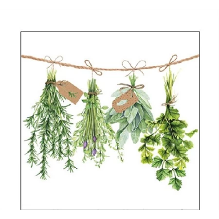 Szalvéta 25x25cm 20db/csomag Fresh Herbs, Friss gyógynövények