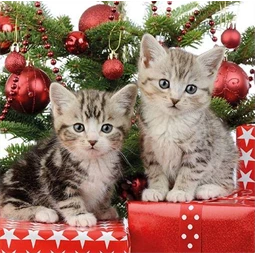 Szalvéta 33x33cm 20db/csomag Christmas Kitten, Karácsonyi Cica