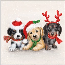 Szalvéta 33x33cm 20db/csomag Sweet Dogs, Cuki kutyák