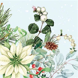 Szalvéta 33x33cm 20db/csomag White Poinsettia, Fehér mikulásvirág