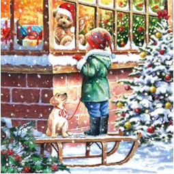 Szalvéta 33x33cm 20db/csomag Wishing