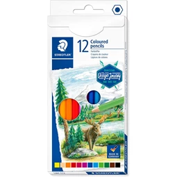 Színes ceruza készlet 12db-os STAEDTLER 146 C, esign Journey hatszögletű