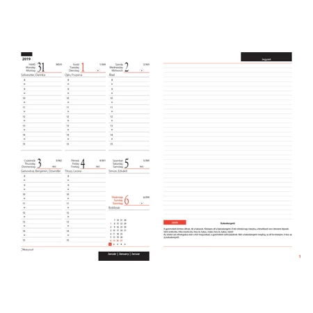 Tanítói zsebkönyv 2025-2026 REAL heti A/5 tavasz