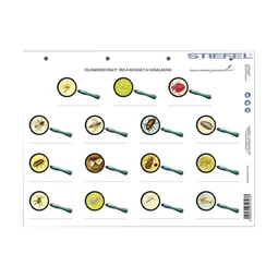 Tanulói munkalap STIEFEL A/4 köztünk és velünk élő állatok + munkaoldal