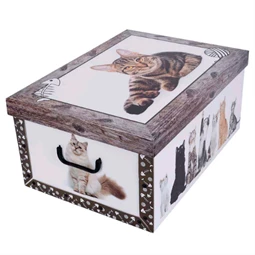 Tárolódoboz 51x37x24cm Miss Space MAXI Cica barna
