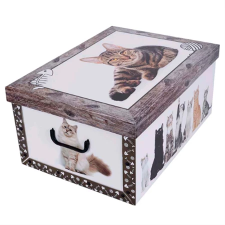 Tárolódoboz 51x37x24cm Miss Space MAXI Cica barna