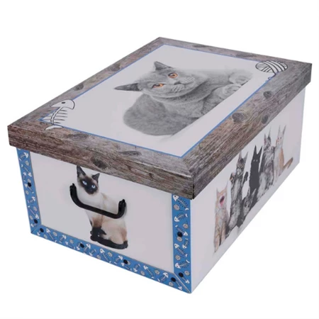 Tárolódoboz 51x37x24cm Miss Space MAXI Cica kék