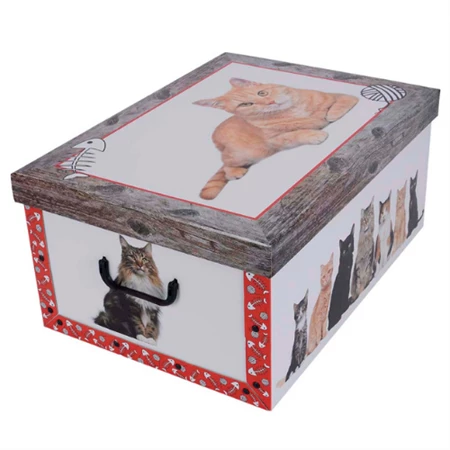 Tárolódoboz 51x37x24cm Miss Space MAXI Cica piros