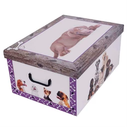 Tárolódoboz 51x37x24cm Miss Space MAXI Kutya lila