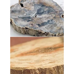 Töltőtoll Graf von Faber-Castell 2007 Év tolla megkövesedett fa (fossilized wood) petrifikált fa platina csillogással
