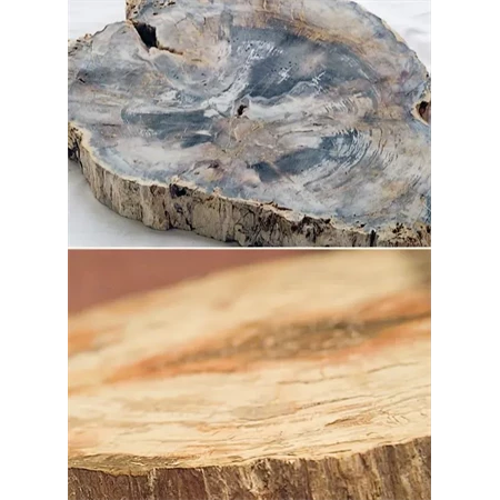 Töltőtoll Graf von Faber-Castell 2007 Év tolla megkövesedett fa (fossilized wood) petrifikált fa platina csillogással