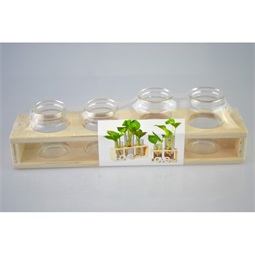 Üveg kémcső 3cm, átlátszó, fa tartóban 22x5x6cm 4db-os