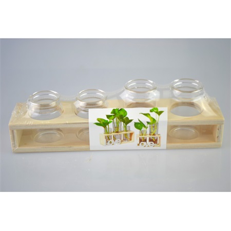 Üveg kémcső 3cm, átlátszó, fa tartóban 22x5x6cm 4db-os