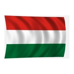 Zászló 100x60 magyar