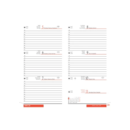 Zsebnaptár 2026 REAL Picture álló elrendezésű, ólomüveg