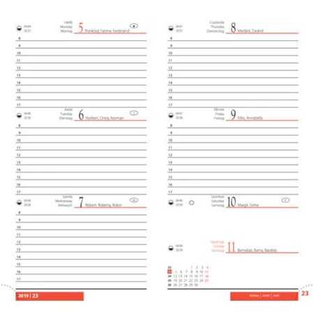 Zsebnaptár 2026 REAL Amigo álló elrendezésű zöld