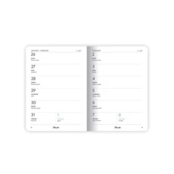 Zsebnaptár 2026 heti LIZZY B/6 puhafedeles tűzött PlanAll aranyozott Swan